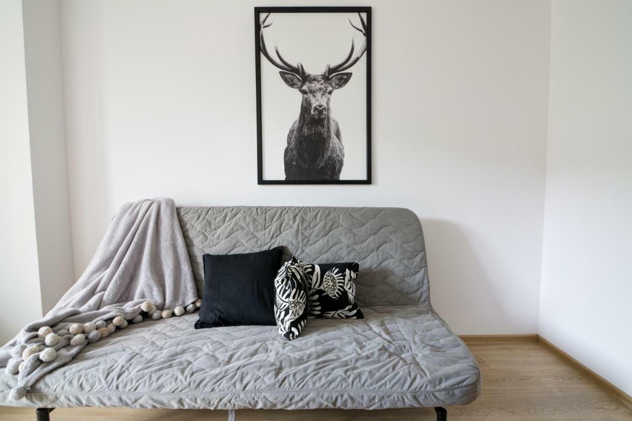 Krynica Apartamenty Rodzinny Apartament W Centrum 43 外观 照片